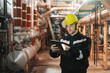 © dusanpetkovic1 - Caucasian worker in heavy industry plant with helmet and in uniform using tablet for work.