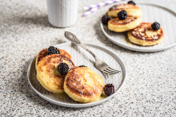 Wall Mural - Homemade curd fritters with berries and a cup of milk on a gray background. Healthy and diet breakfast