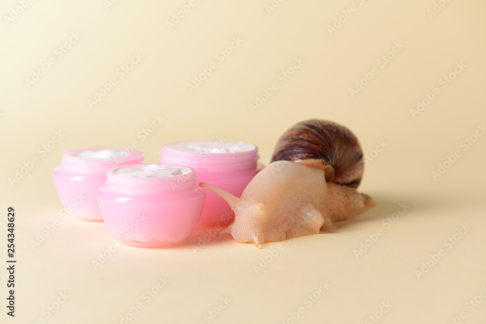 Giant Achatina snail and cosmetics on color background