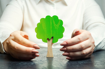 Woman protects a miniature green tree. Saving the environment and protecting forests from deforestation and extinction. Forest fires. Creation of reserves and green areas. Nature care concept