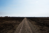 Fototapeta Kuchnia - black dead burned field