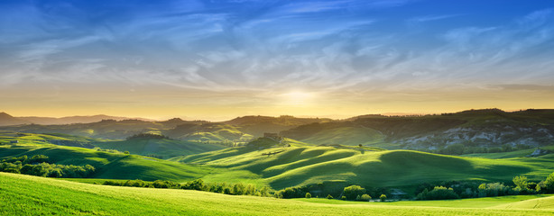 Wall Mural - idyllic view, green tuscan hills in light of the setting sun