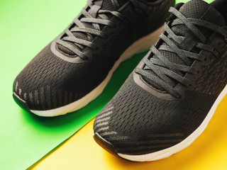 A pair of stylish sports sneakers on a colored background