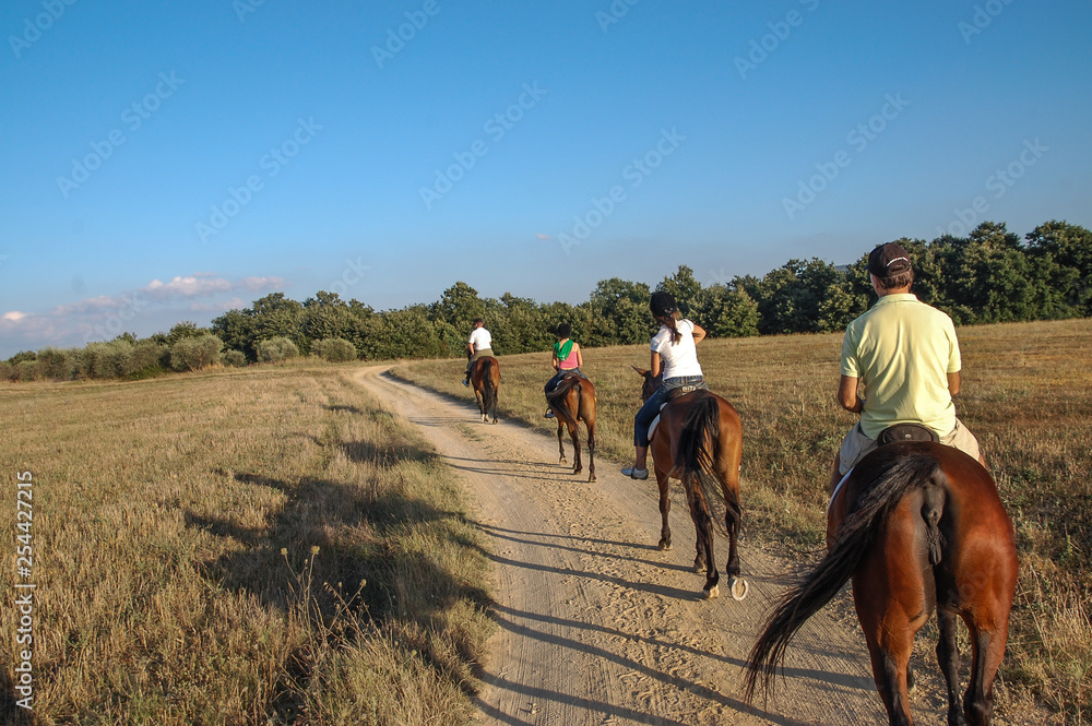 Paseo a caballo por la region de la Toscana, Italia - obrazy, fototapety, plakaty 