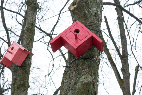 Red Bird Feeders On Tree Branches In The Park In Sunnny Day