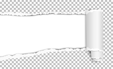 Wall Mural - Oblong torn hole in transparent sheet of paper with shadow and paper curl. White resulting background. Vector paper mock up.