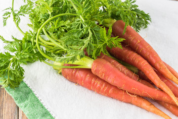 Wall Mural - Pink fresh organic carrots.