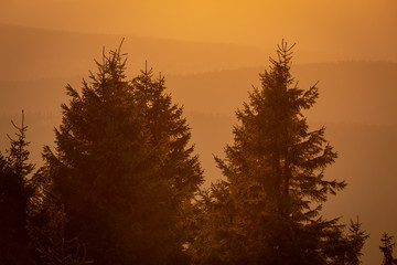 Landscape in sunset