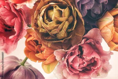 Fototapeta na wymiar Colorful tulips in vintage style
