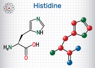 Wall Mural - Histidine (L- histidine , His, H) amino acid molecule. It is used in the biosynthesis of proteins. Sheet of paper in a cage. Structural chemical formula and molecule model