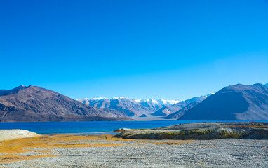 Sticker - Pangong lake, Ladakh, India 