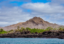 Landscape Of The Dragon Hill Area, Santa Cruz Or Indefatigable Island, Galapagos, Ecuador