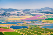 Colorful Agricultural Areas And Water Ponds At Beit Shean Valley Of Israel, At Spring Season.
