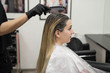 © strigana - Professional hairdresser putting color mask dyeing hair of woman in beauty salon