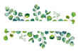 © OliaGraphics - Green leaves watercolor frame. Eucalyptus frame, wreath for wedding invitation, greeting card, flyer. Hand painted floral frame template. Botanical herbal wreath.