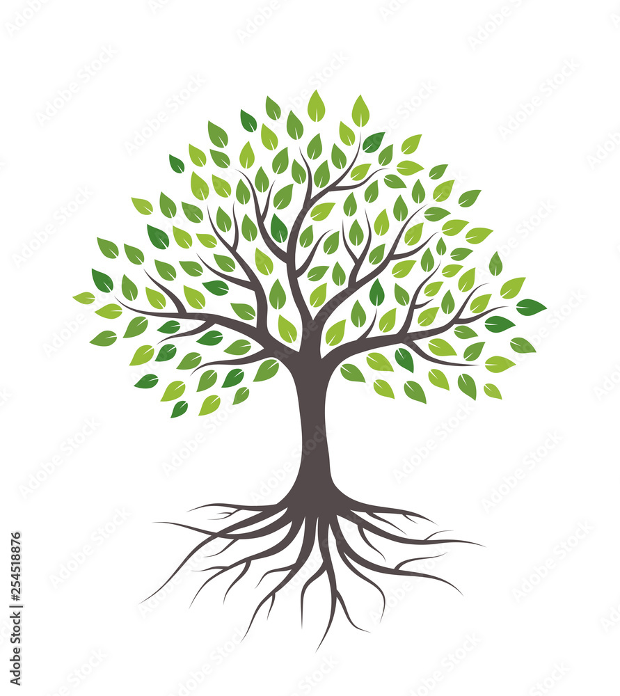 Tree with green leaves and roots. Isolated on white background. Flat ...