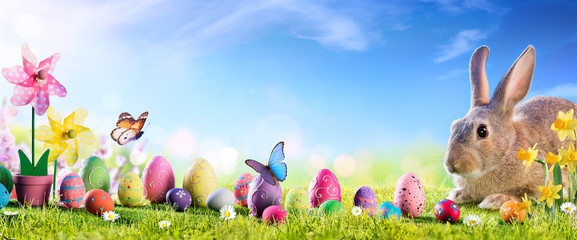 Easter - Cute Bunny With Eggs In Meadow