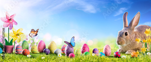 Easter - Cute Bunny With Eggs In Meadow