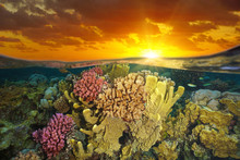 Sky With Sunset Light And A Colorful Coral Reef Underwater, Split View Half Over And Under Water, Pacific Ocean, French Polynesia