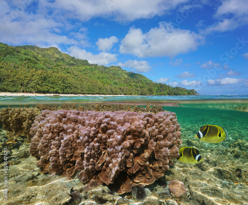 French Polynesia Rurutu Island Coastline With Coral And