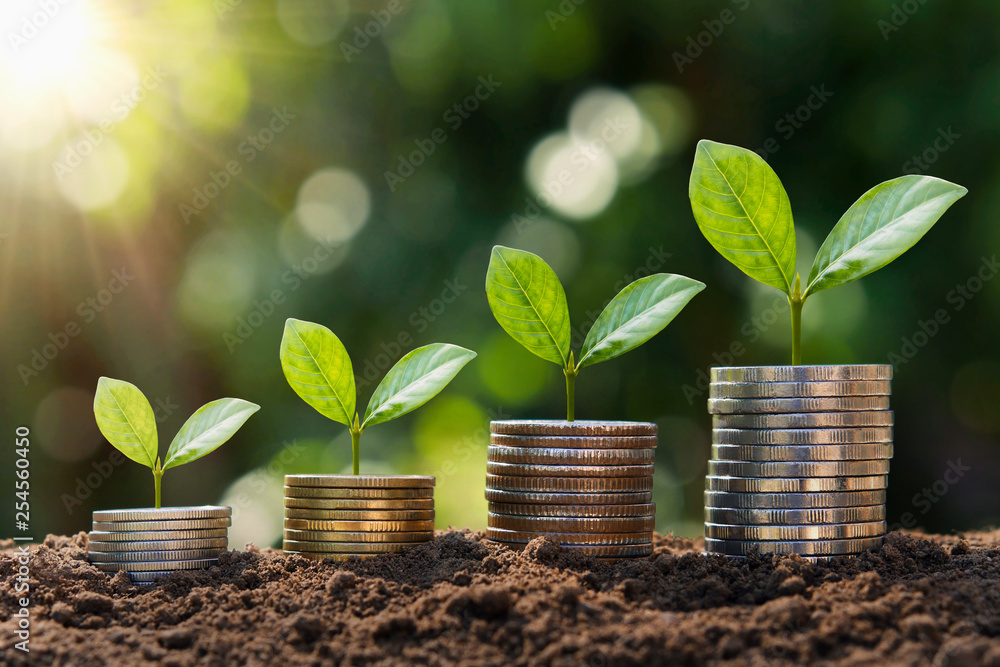 plant growing step  on coins. concept finance and accounting - obrazy, fototapety, plakaty 