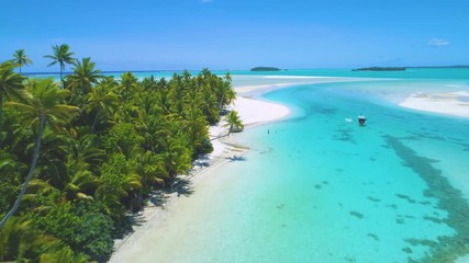 Wall Mural - AERIAL: Flying along the idyllic white sand shore and tourists anchoring their boat and cooling off in the pristine turquoise ocean. Local people enjoying by One Foot Island in the peak of summertime.