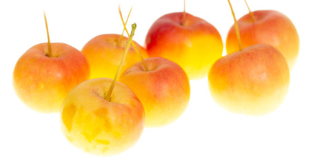 Canvas Print - Ripe apples isolated on white background