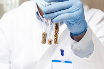 Laboratory assistant holding test tubes with different kinds of seed before experiments at the agro laboratory