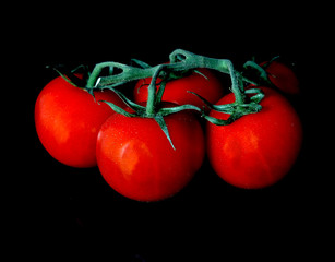 Tomaten an Rispe