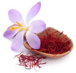 Saffron with crocus flower