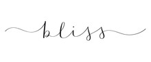 BLISS Brush Calligraphy Banner