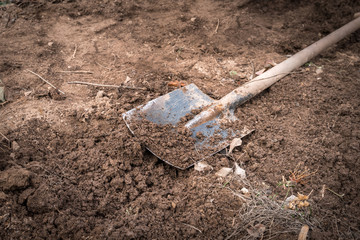 Shovel on the ground in soil - gardening concept