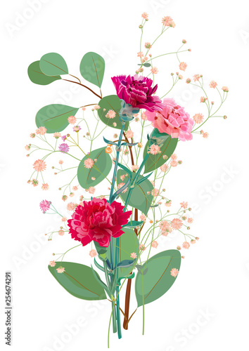 Bouquet of carnation schabaud, pink, red flowers, twigs gypsophile, eucalyptu...