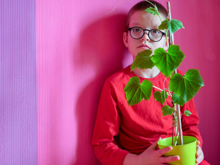 Happy kid in glasses with flower pot for growing seedlings. Bright emotions. Green plant in black earth. Child is happy at home. Preparation for new season of farmer. Tomato, eggplant, cucumber