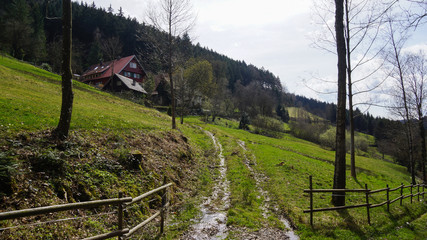 Wall Mural - muddy road to country house in black forest