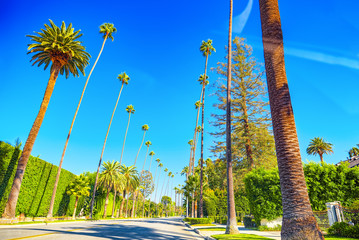 Wall Mural - Urban views of the Beverly Hills area and residential buildings on the Hollywood hills.