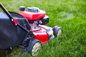 Wall Mural - lawn mover on grass