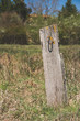 Wooden post with a metal hook
