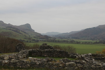 Wall Mural - Castle Ruins - Castell Yr Bere