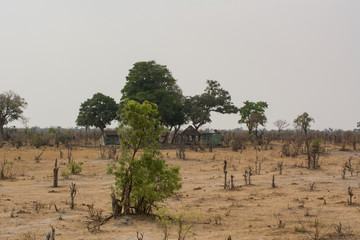 Steppenlandschaft Hawange National Park in Simbabwe Süd Afrika