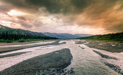 Wall Mural - Glacial river at Denali National Park