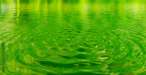 fondo de naturaleza , ondas de agua en el estanque