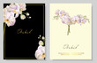 Set of Vector banners with Luxurious orchid flowers.