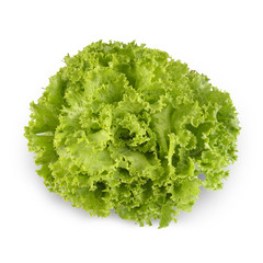 Wall Mural - A curly lettuce isolated