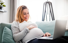 Smiling Pregnant Woman Using Laptop, Sitting On Sofa At Home