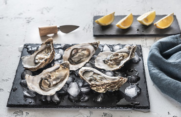 Sticker - Raw oysters on the slate board