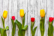 © WoodHunt - Three yellow and three red tulips on a vintage white antique background