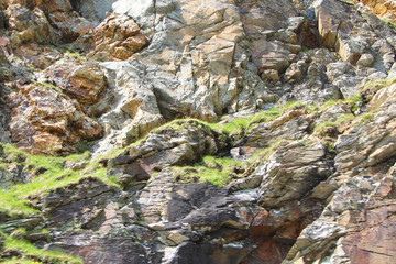 rocks grass