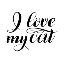 Cat Quotation Fancy Script Free Stock Photo - Public Domain Pictures