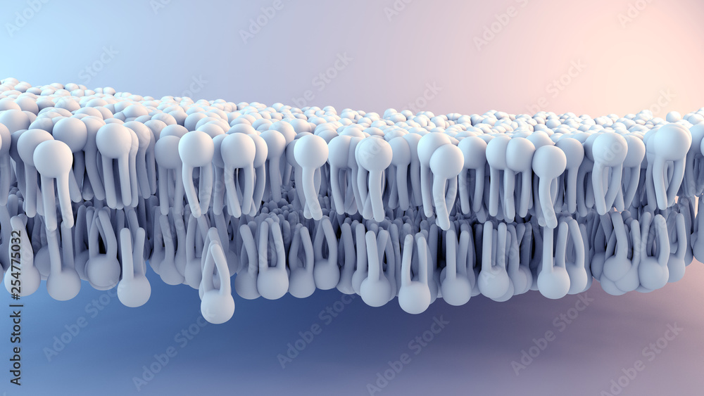Cell Membrane structure in motion - obrazy, fototapety, plakaty 
